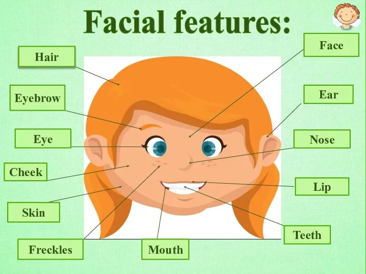 Hair Eyebrow Eye Cheek Freckles Teeth Nose Ear Lip Mouth Face Skin Facial features: