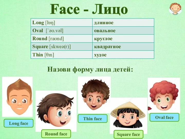 Face - Лицо Назови форму лица детей: Long face Round face Thin