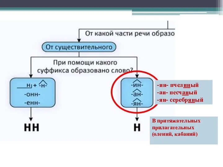 -ин- пчелиный -ан- песчаный -ян- серебряный В притяжательных прилагательных (олений, кабаний)