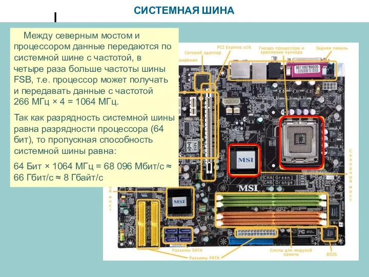 СИСТЕМНАЯ ШИНА Между северным мостом и процессором данные передаются по системной шине