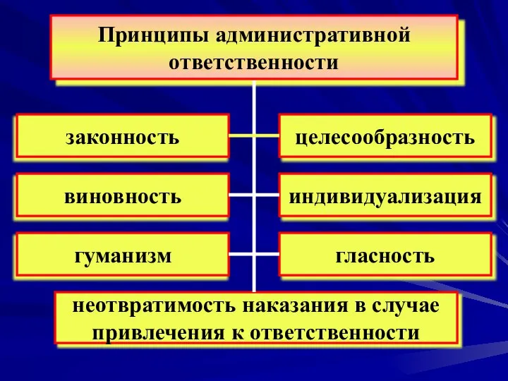 Принципы административной ответственности законность виновность гуманизм целесообразность индивидуализация гласность неотвратимость наказания в случае привлечения к ответственности