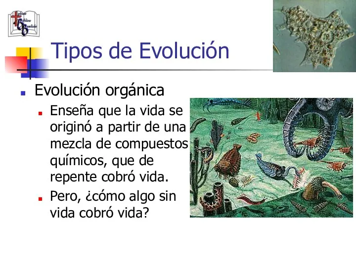 Tipos de Evolución Evolución orgánica Enseña que la vida se originó a