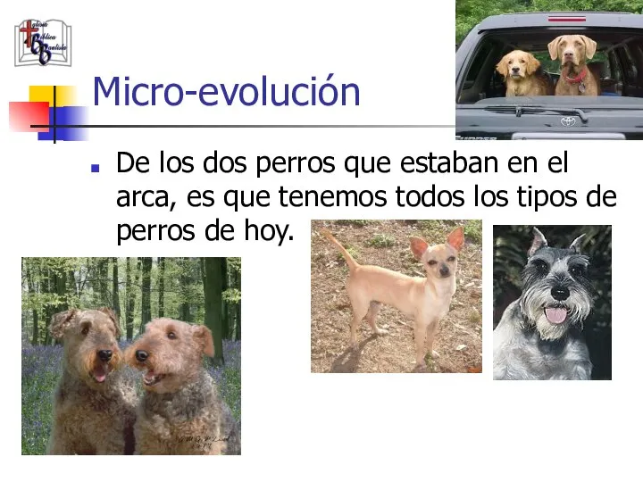 Micro-evolución De los dos perros que estaban en el arca, es que