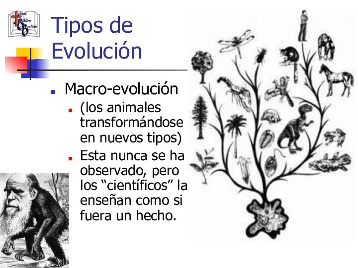 Tipos de Evolución Macro-evolución (los animales transformándose en nuevos tipos) Esta nunca