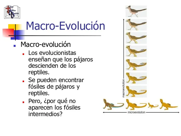 Macro-evolución Los evolucionistas enseñan que los pájaros descienden de los reptiles. Se