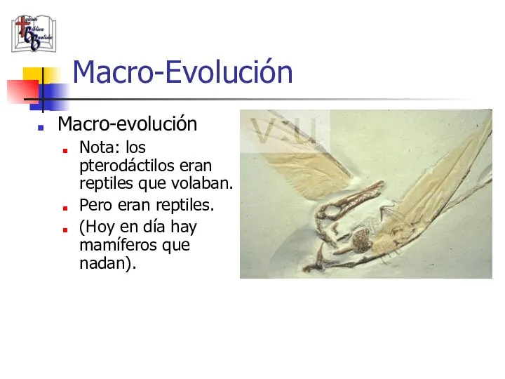 Macro-evolución Nota: los pterodáctilos eran reptiles que volaban. Pero eran reptiles. (Hoy