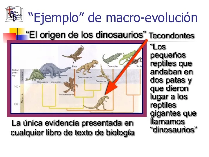 “Ejemplo” de macro-evolución Tecondontes “Los pequeños reptiles que andaban en dos patas