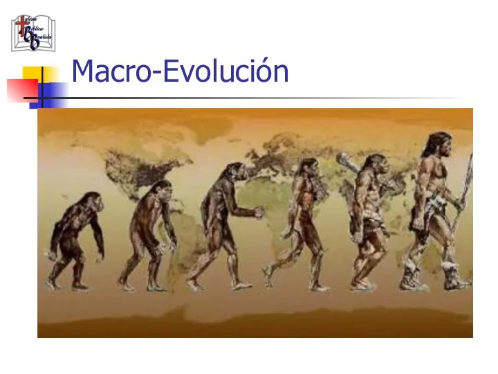 Macro-Evolución