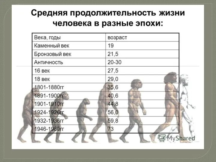 Продолжительность жизни