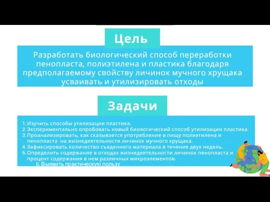 6. Выявить практическую пользу экскрементов.