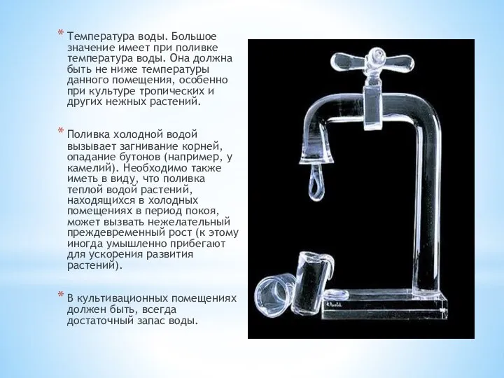 Температура воды. Большое значение имеет при поливке температура воды. Она должна быть