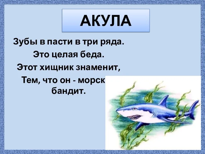 АКУЛА Зубы в пасти в три ряда. Это целая беда. Этот хищник