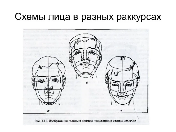 Схемы лица в разных раккурсах