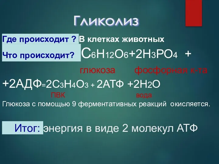 Где происходит ? В клетках животных Что происходит? С6Н12О6+2Н3РО4 + глюкоза фосфорная