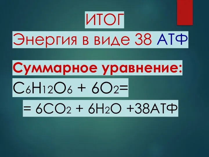 ИТОГ Энергия в виде 38 АТФ Суммарное уравнение: С6Н12О6 + 6О2= = 6СО2 + 6Н2О +38АТФ