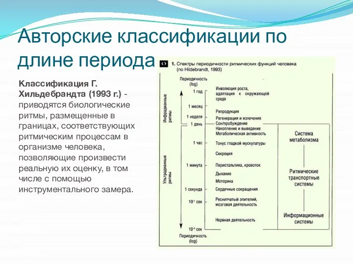 Авторские классификации по длине периода: Классификация Г.Хильдебрандта (1993 г.) - приводятся биологические