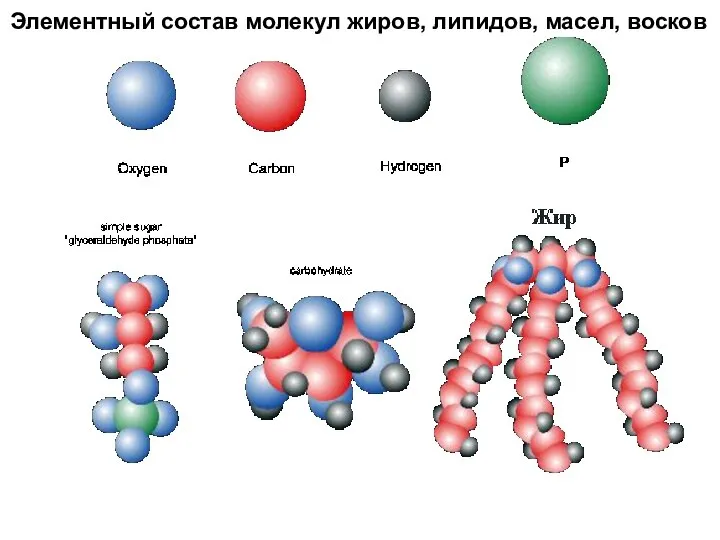 Элементный состав молекул жиров, липидов, масел, восков