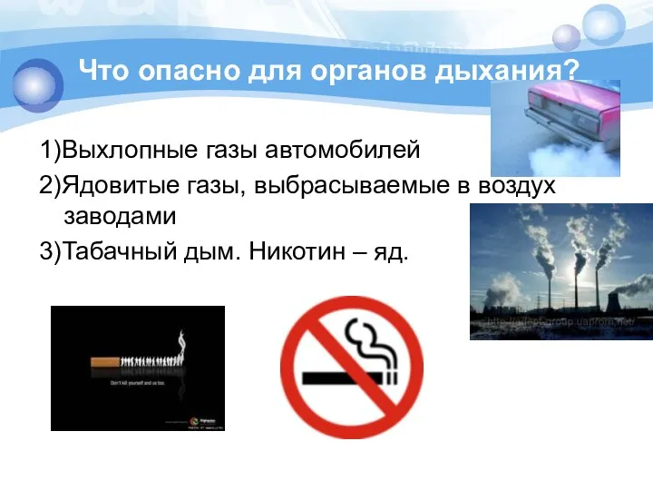 Что опасно для органов дыхания? 1)Выхлопные газы автомобилей 2)Ядовитые газы, выбрасываемые в