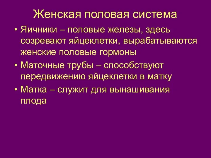 Женская половая система Яичники – половые железы, здесь созревают яйцеклетки, вырабатываются женские