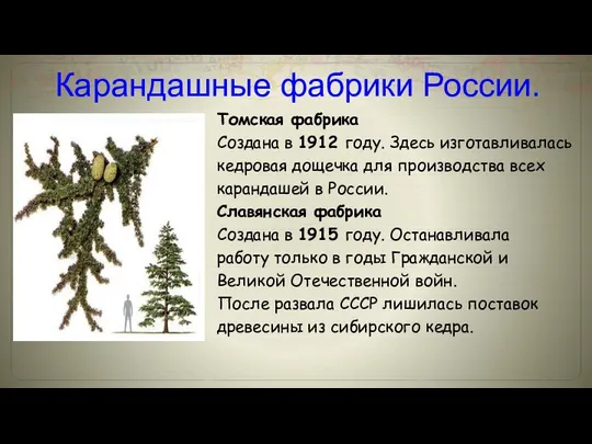 Карандашные фабрики России. Томская фабрика Создана в 1912 году. Здесь изготавливалась кедровая