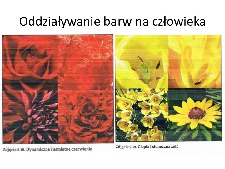 Oddziaływanie barw na człowieka