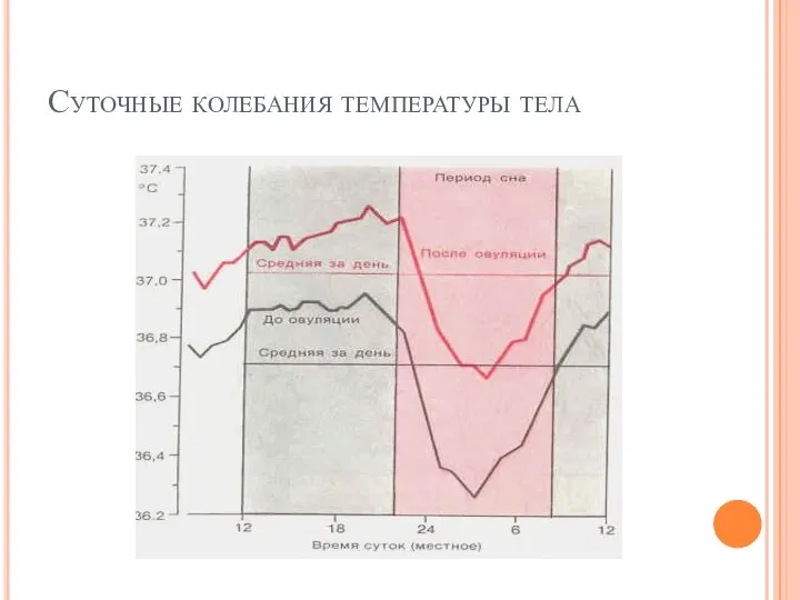 Суточные колебания температуры тела