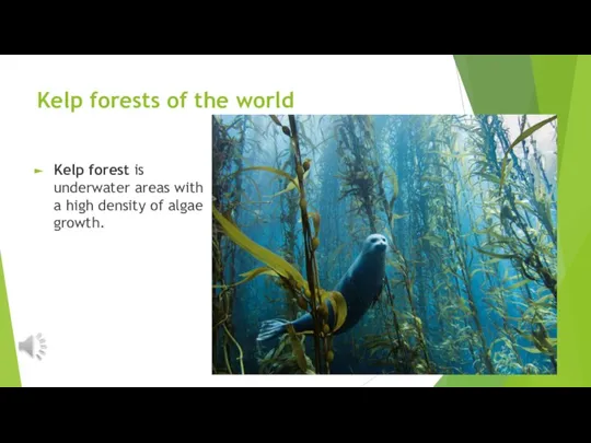 Kelp forests of the world Kelp forest is underwater areas with a