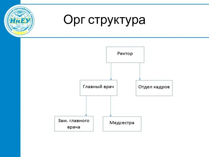 Орг структура