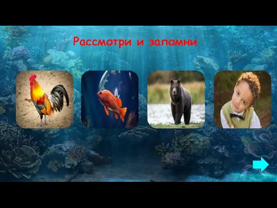 Рассмотри и запомни