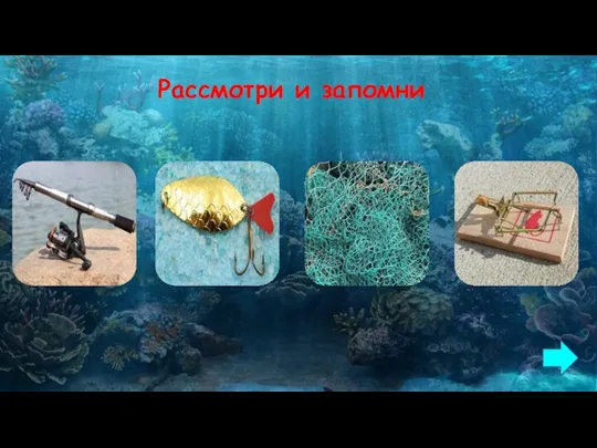 Рассмотри и запомни