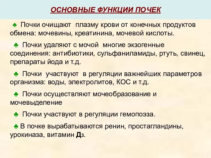 ОСНОВНЫЕ ФУНКЦИИ ПОЧЕК ♣ Почки очищают плазму крови от конечных продуктов обмена: