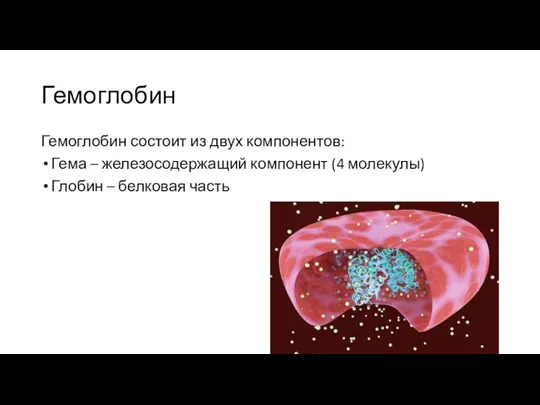 Гемоглобин Гемоглобин состоит из двух компонентов: Гема – железосодержащий компонент (4 молекулы) Глобин – белковая часть