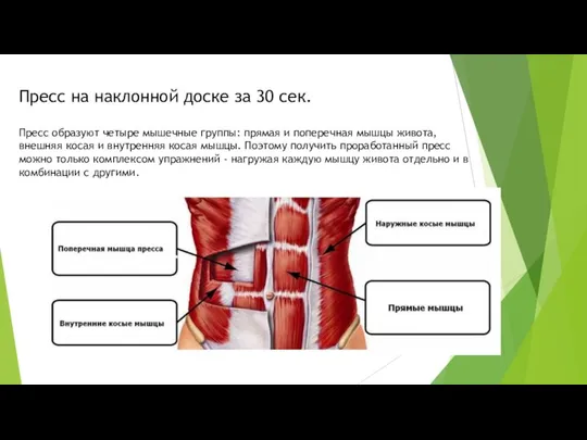 Пресс на наклонной доске за 30 сек. Пресс образуют четыре мышечные группы: