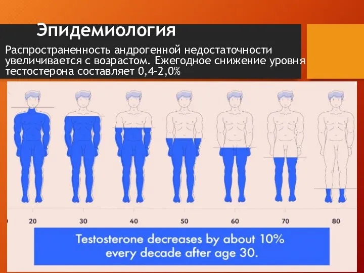 Эпидемиология Распространенность андрогенной недостаточности увеличивается с возрастом. Ежегодное снижение уровня тестостерона составляет 0,4–2,0%