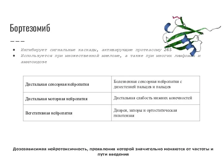 Бортезомиб Ингибирует сигнальные каскады, активирующие протеасому 26S Используется при множественной миеломе, а