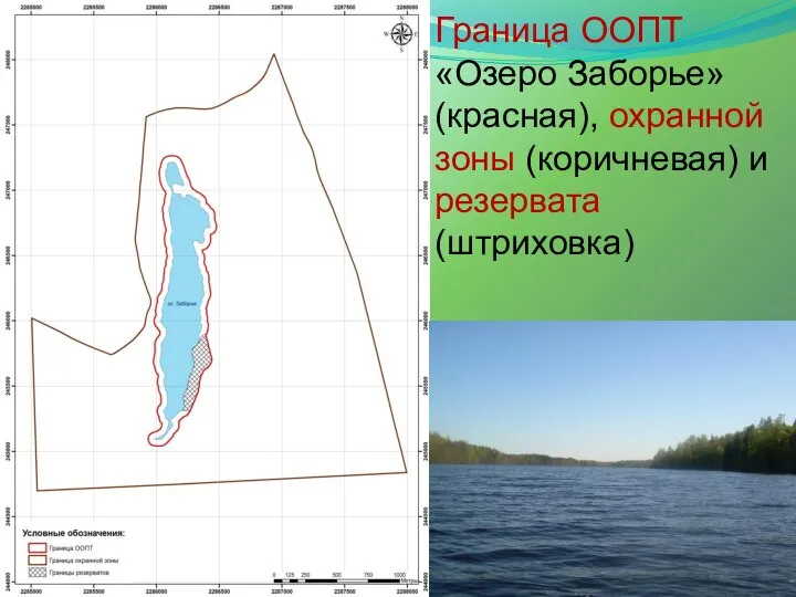 Граница ООПТ «Озеро Заборье» (красная), охранной зоны (коричневая) и резервата (штриховка)