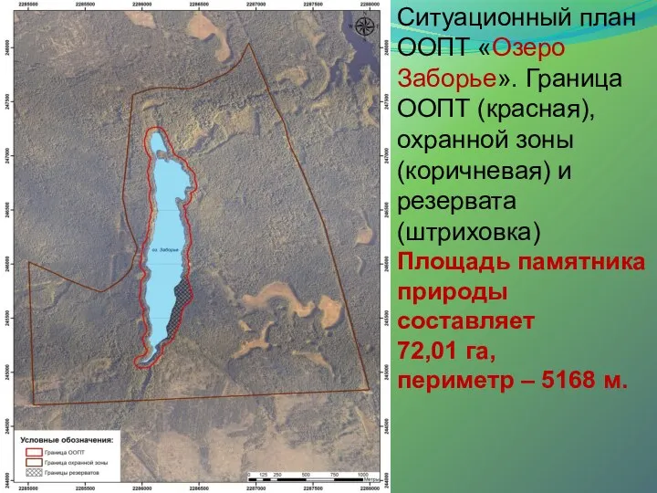 Ситуационный план ООПТ «Озеро Заборье». Граница ООПТ (красная), охранной зоны (коричневая) и
