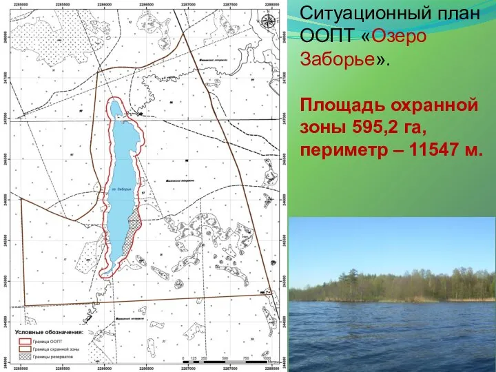 Ситуационный план ООПТ «Озеро Заборье». Площадь охранной зоны 595,2 га, периметр – 11547 м.