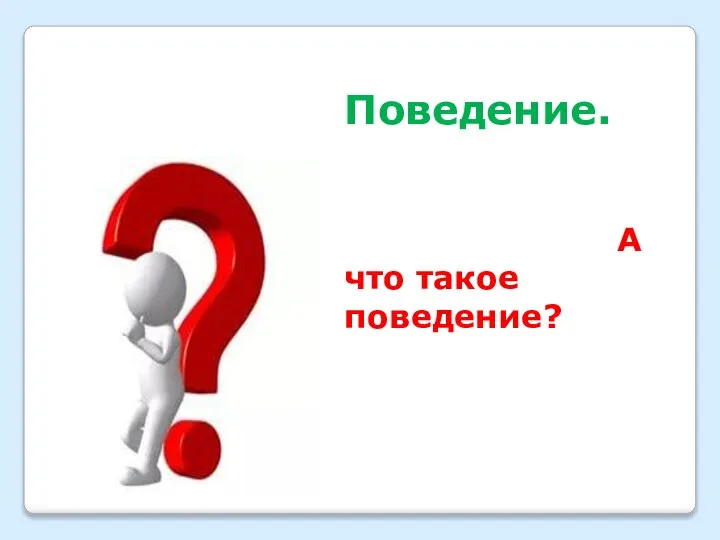 Поведение. А что такое поведение?