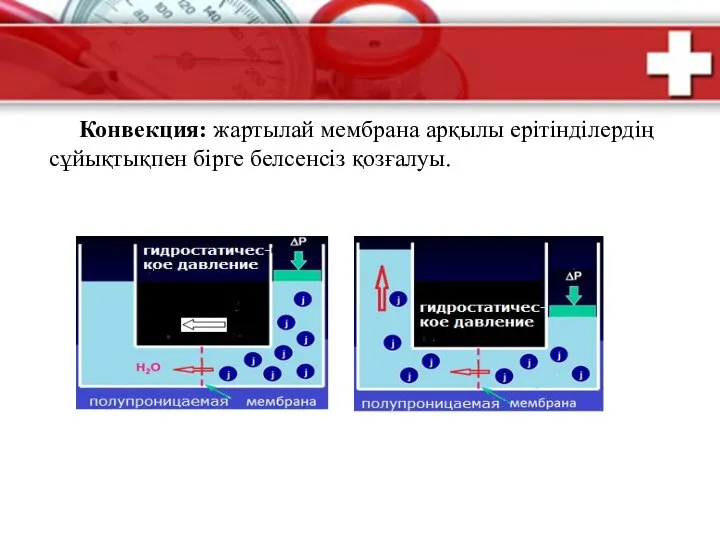 Конвекция: жартылай мембрана арқылы ерітінділердің сұйықтықпен бірге белсенсіз қозғалуы.