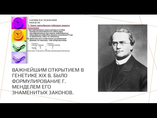 ВАЖНЕЙШИМ ОТКРЫТИЕМ В ГЕНЕТИКЕ XIX В. БЫЛО ФОРМУЛИРОВАНИЕ Г. МЕНДЕЛЕМ ЕГО ЗНАМЕНИТЫХ ЗАКОНОВ.