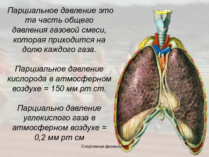 Парциальное давление это та часть общего давления газовой смеси, которая приходится на