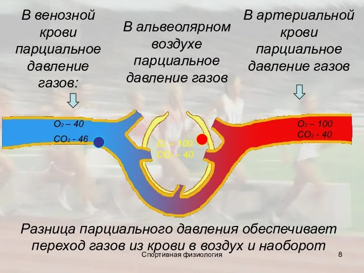 В венозной крови парциальное давление газов: О2 – 40 СО2 - 46