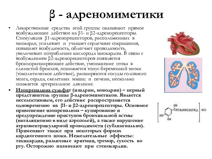 β - адреномиметики Лекарственные средства этой группы оказывают прямое возбуждающее действие на