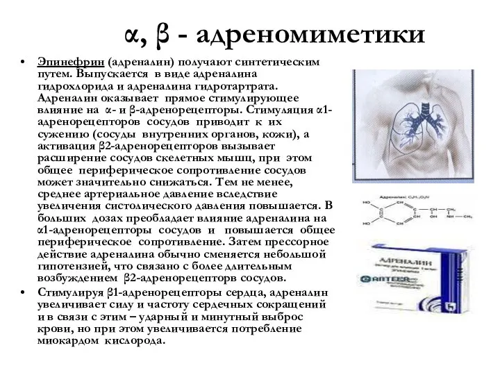 α, β - адреномиметики Эпинефрин (адреналин) получают синтетическим путем. Выпускается в виде