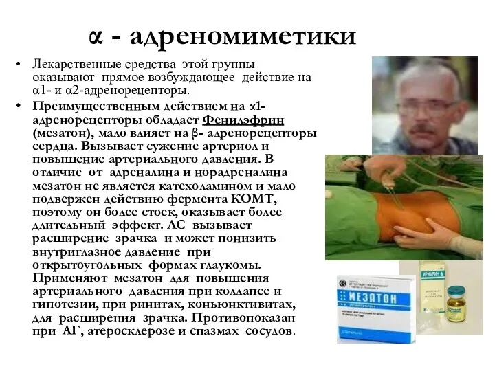 α - адреномиметики Лекарственные средства этой группы оказывают прямое возбуждающее действие на