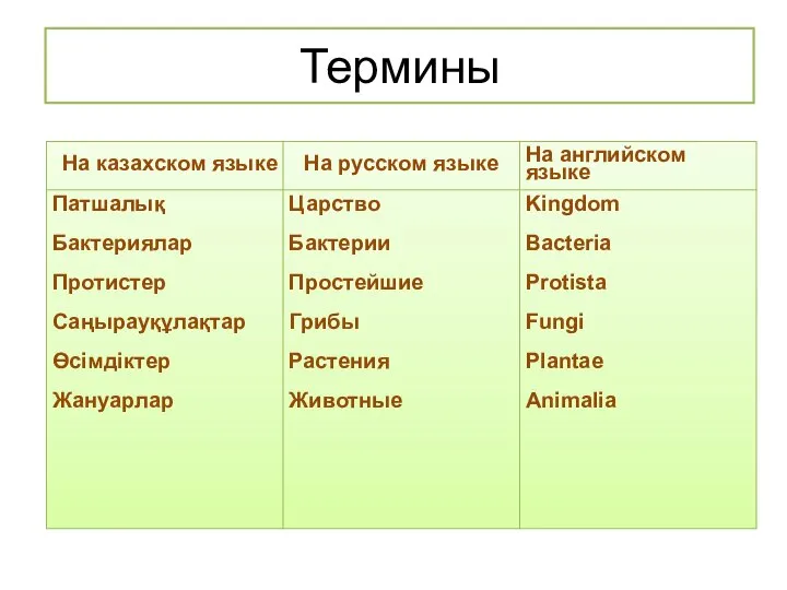 Термины