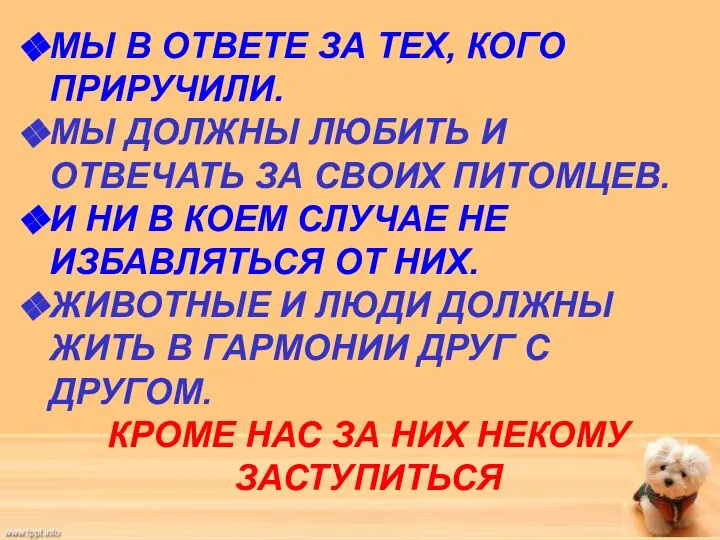 МЫ В ОТВЕТЕ ЗА ТЕХ, КОГО ПРИРУЧИЛИ. МЫ ДОЛЖНЫ ЛЮБИТЬ И ОТВЕЧАТЬ