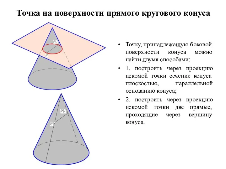 Точка на поверхности прямого кругового конуса Точку, принадлежащую боковой поверхности конуса можно