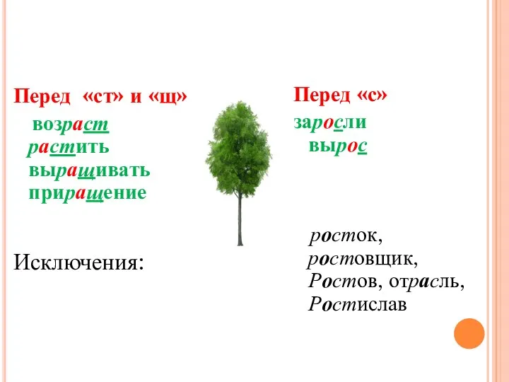 Перед «ст» и «щ» возраст растить выращивать приращение Исключения: Перед «с» заросли